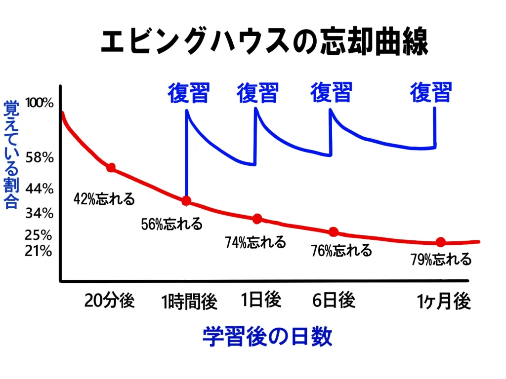 忘却曲線